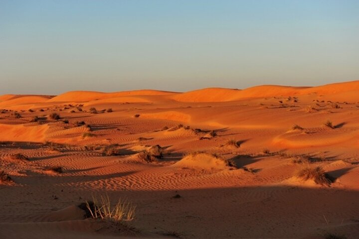 Private Camping Tour 2 Days Package (1 Nighat Camp In Wahiba Sands) - Image 5
