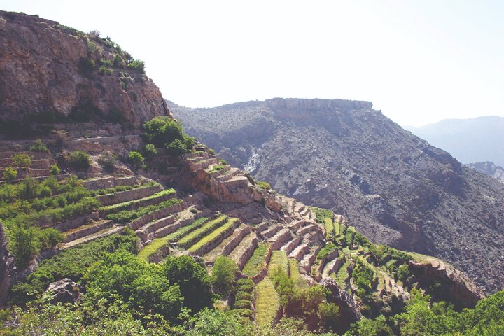 Private Day Tour of Oman's Natural Wonders in Nizwa, Jabel Akhdar - Image 2