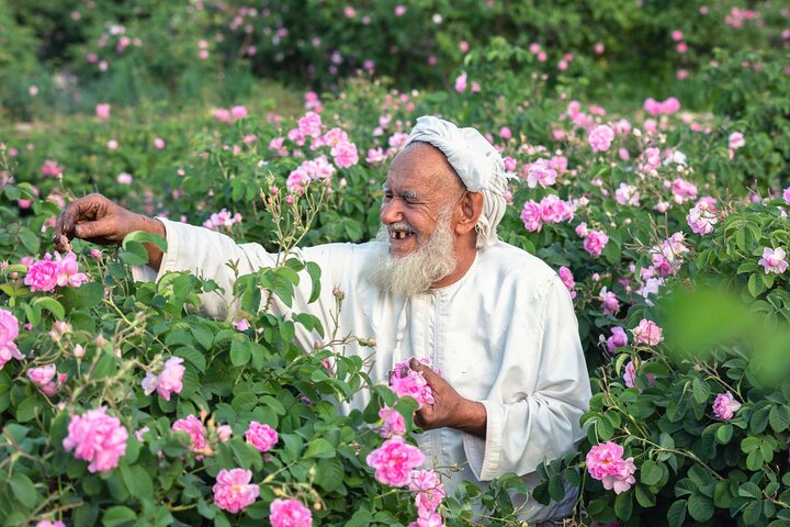 Private Day Tour of Oman's Natural Wonders in Nizwa, Jabel Akhdar - Image 1