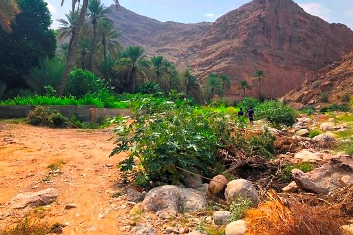 Private Day Trip to Wadi Hawir Hiking & Swimming  - Image 2