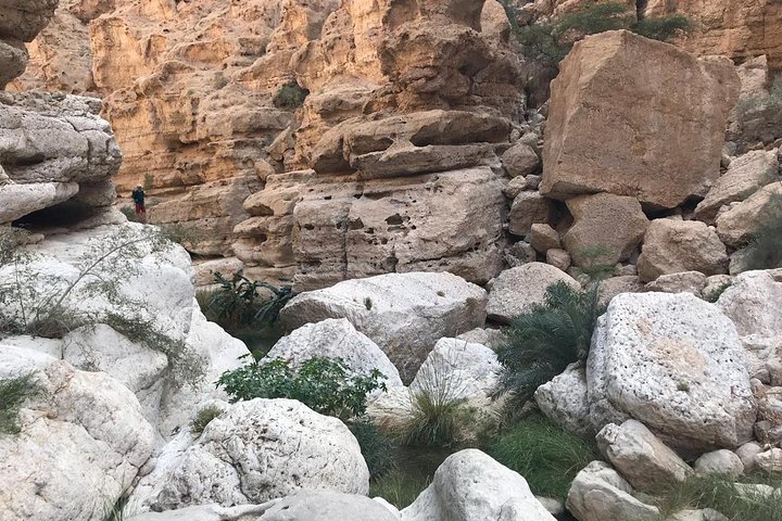 Private Day Trip to Wadi Shab & Bimmah Sinkhole Price Up To 5 Persons  - Image 2