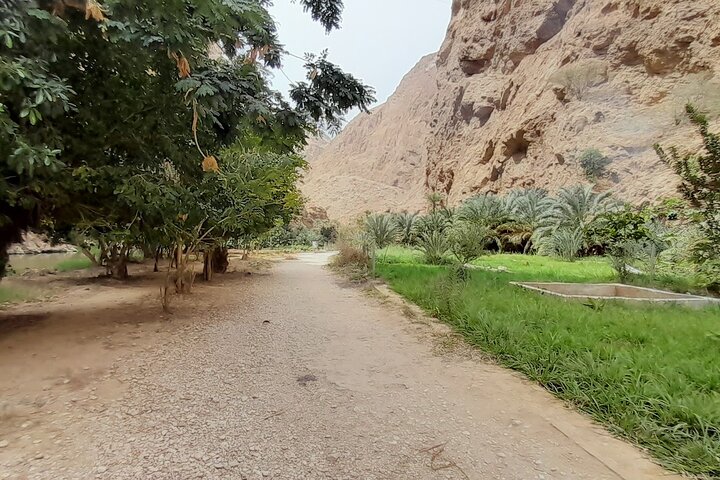 Private Desert Guided Overnight Camp Tour - Image 3