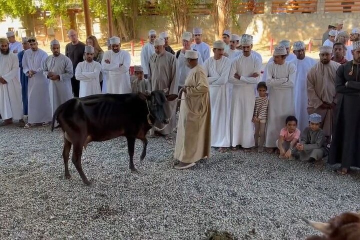 Private Friday Cattle Market-Nizwa and Jebel Akhdar-Full-Day Tour - Image 1