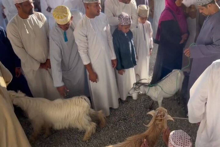 Private Friday Cattle Market-Nizwa and Jebel Akhdar-Full-Day Tour - Image 3