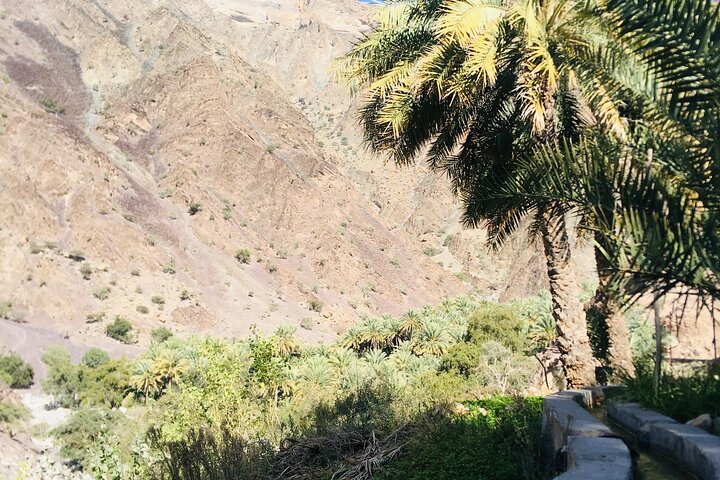 Private Full Day Guided Tour to Nizwa city  - Image 5