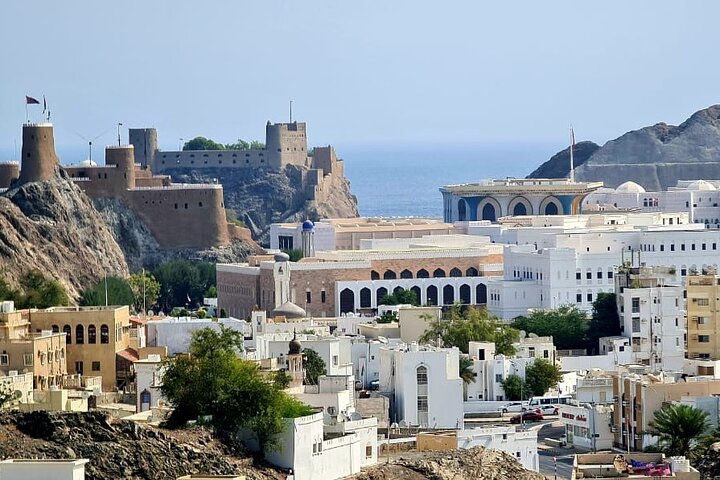 Private Full Day Muscat City Tour - Image 1