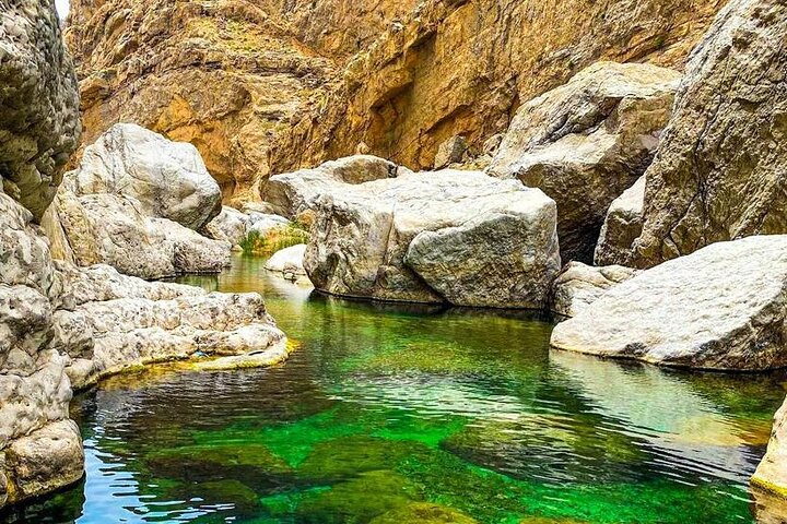 Private Full Day Tour to Wahiba Sands Desert and Wadi Hawer - Image 3