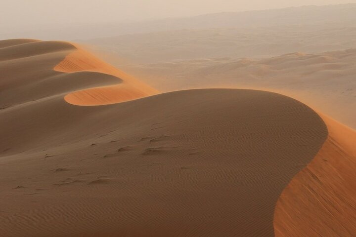 Private Full Day Tour to Wahiba Sands Desert and Wadi Hawer - Image 4