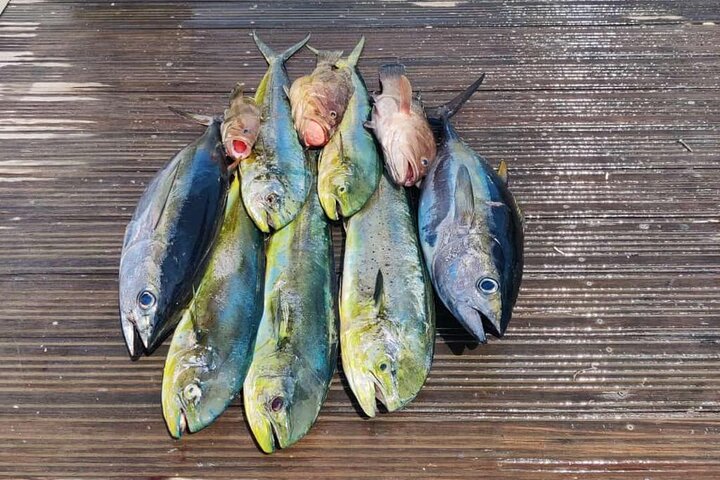 Private Game Fishing in Muscat - Image 2