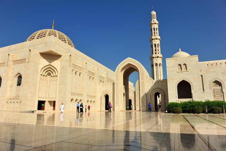 Private Half-Day Muscat City Tour  - Image 2