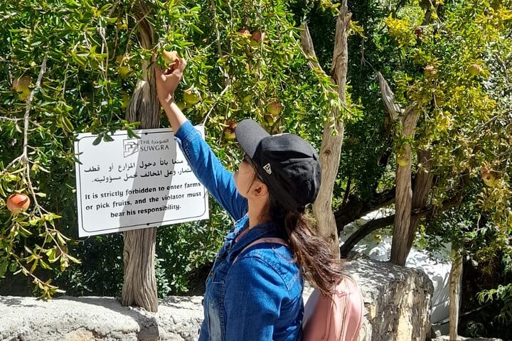 Private Jebel Akhdar Overnight Tours - Image 2