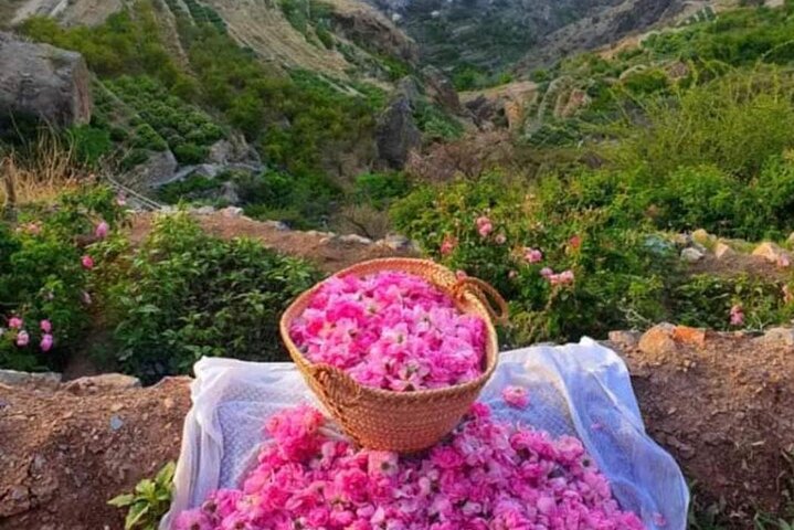 Private Oman Full Day Guided Sightseeing Tour - Image 1