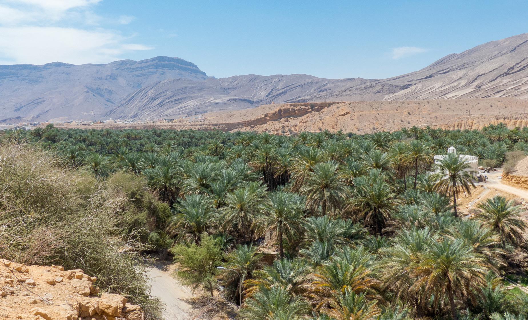 Private Wadi Bani Khalid City Highlights Tour & Desert Safari - Image 1