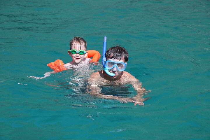 Snorkeling and Dolphin Sightseeing Group Experience - Image 4