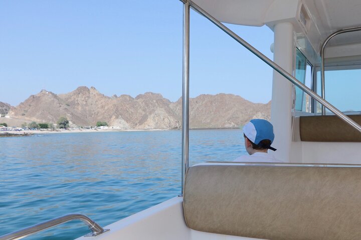 Snorkeling and Dolphin Sightseeing Private Experience - Image 2