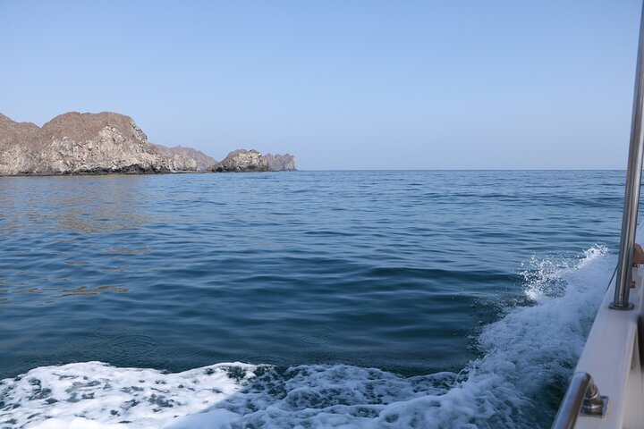 Snorkeling and Dolphin Sightseeing Private Experience - Image 3