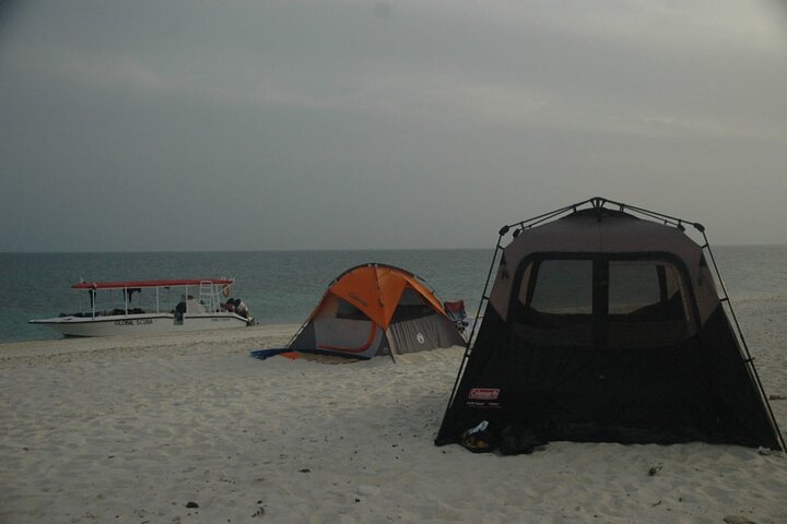 Snorkeling trips to Daymaniat Islands Sharing Trip - Image 5