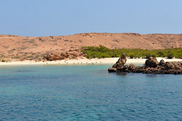 Snorkeling trips to Daymaniat Islands Sharing Trip - Image 1