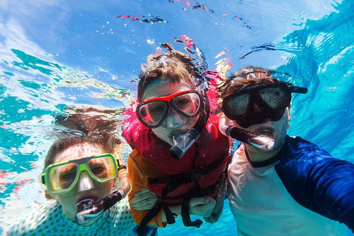 Snorkeling trips to Daymaniat Islands Sharing Trip - Image 4