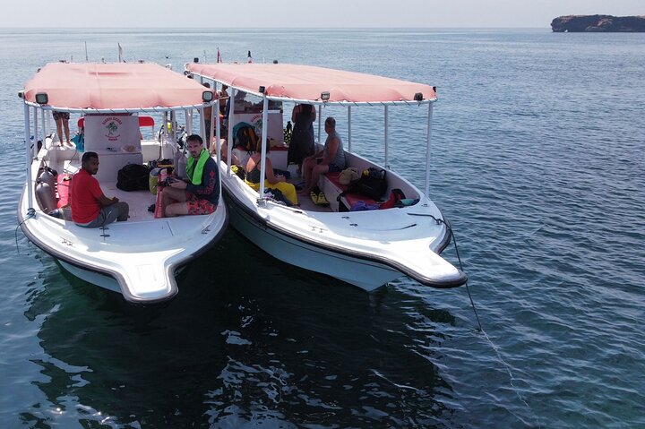 Snorkeling trips to Daymaniat Islands Sharing Trip - Image 2