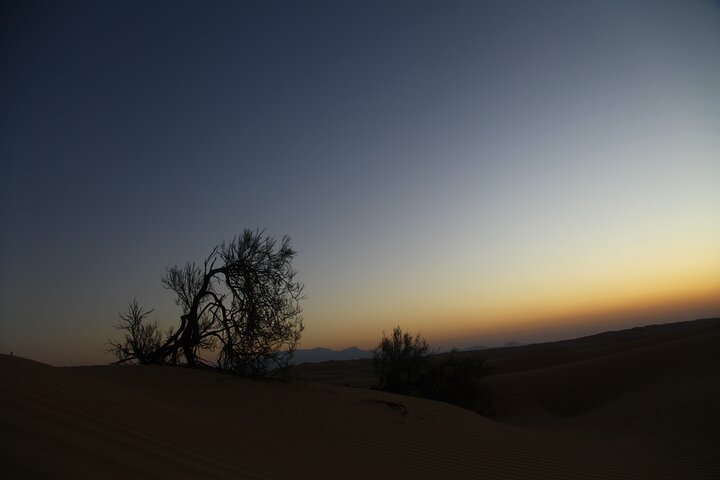 Sunset watching in Al Wahiba Sand - Image 4
