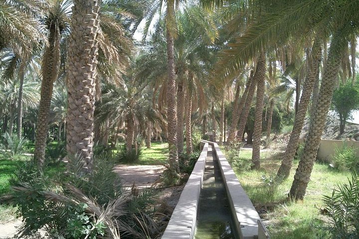 Treasure Of the Interior  - Image 5