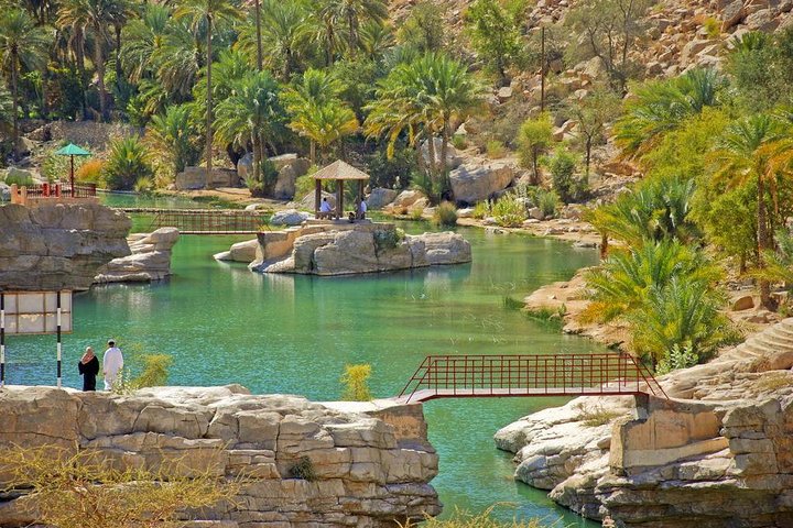 Wahiba Sands and Desert Safari from Muscat - Image 4