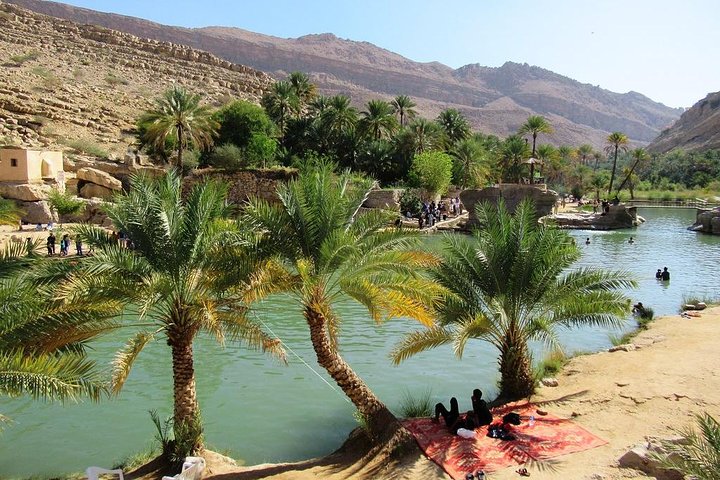 Wahiba Sands Safari with Wadi swimming and Camelride - Image 3