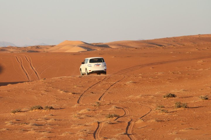 Wahiba Sands Safari with Wadi swimming and Camelride - Image 5