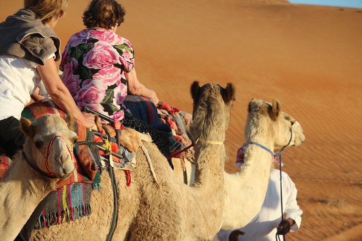 Wahiba Sands Safari with Wadi swimming and Camelride - Image 2
