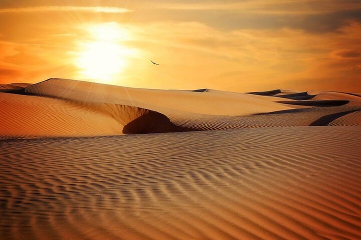 Wahiba Sands & Wadi Bani Khalid- Private Desert Safari in Muscat - Image 4