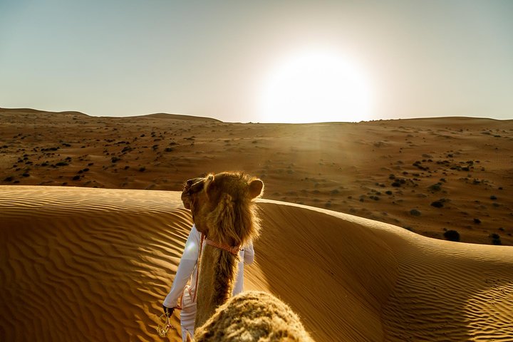 Wahiba Sands&Wadi Bani Khalid desert Safari(Muscat tours) :Outdoor activity - Image 1