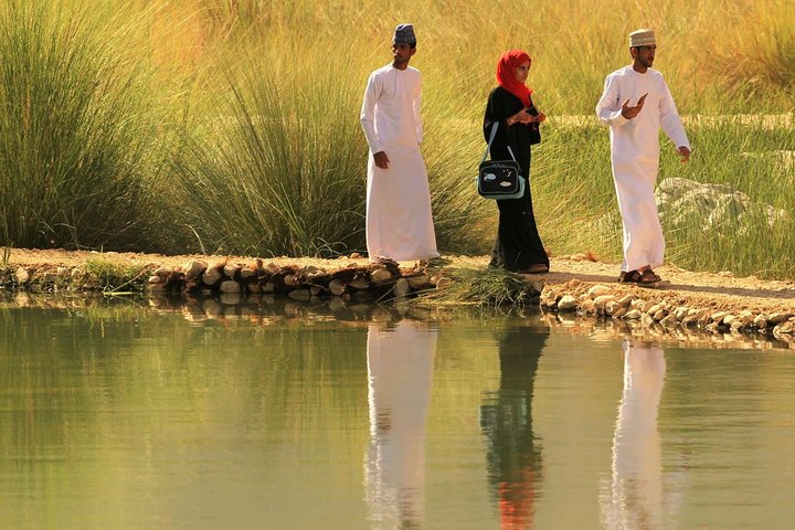 Wahiba Sands&Wadi Bani Khalid desert Safari(Muscat tours) : Private tours - Image 5