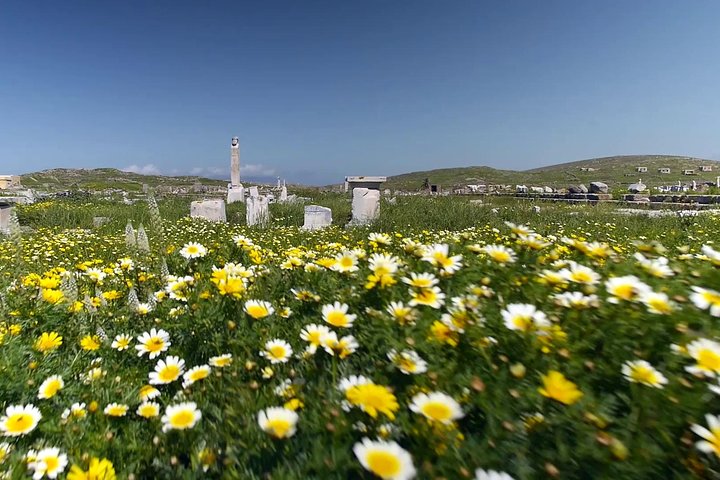 Half-Day Delos Tour from Mykonos - Image 4
