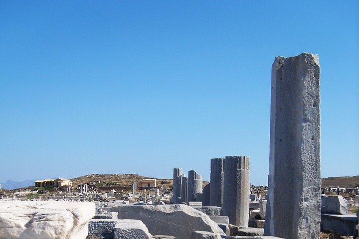 Half Day Guided Cruise Tour in Delos Mykonos - Image 5