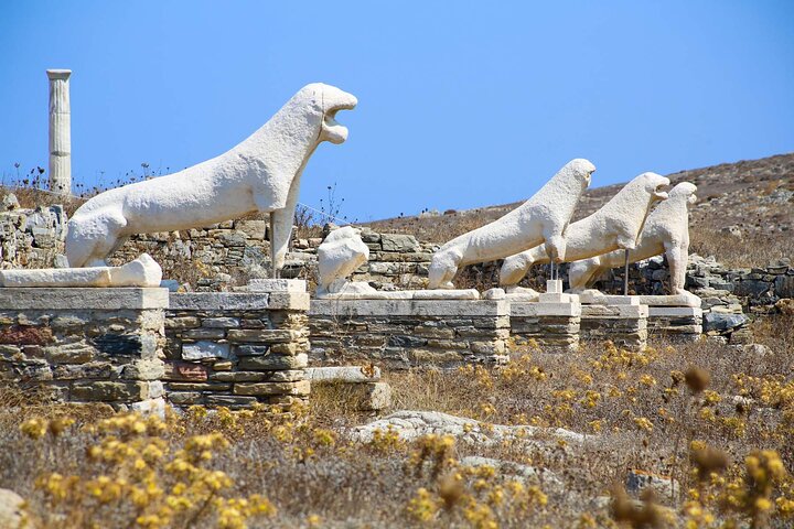 Half Day Guided Cruise Tour in Delos Mykonos - Image 1