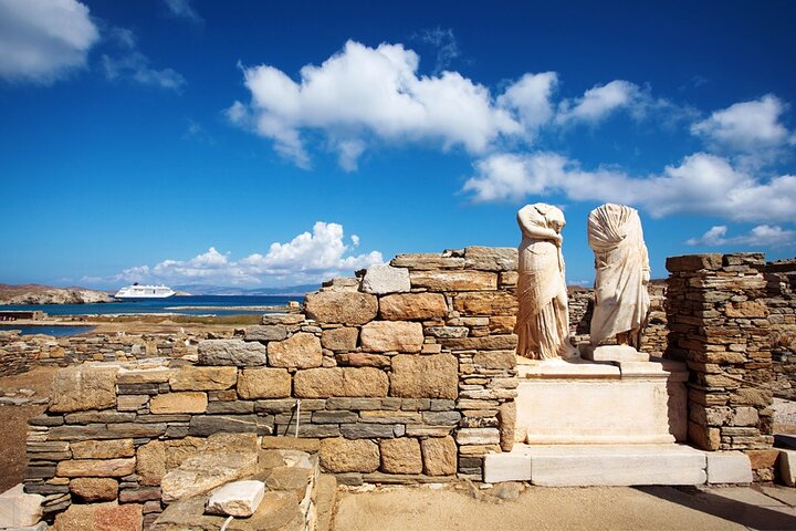 Half Day Guided Cruise Tour in Delos Mykonos - Image 2