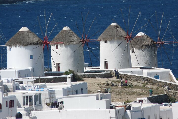 Half Day Guided Cruise Tour in Delos Mykonos - Image 4