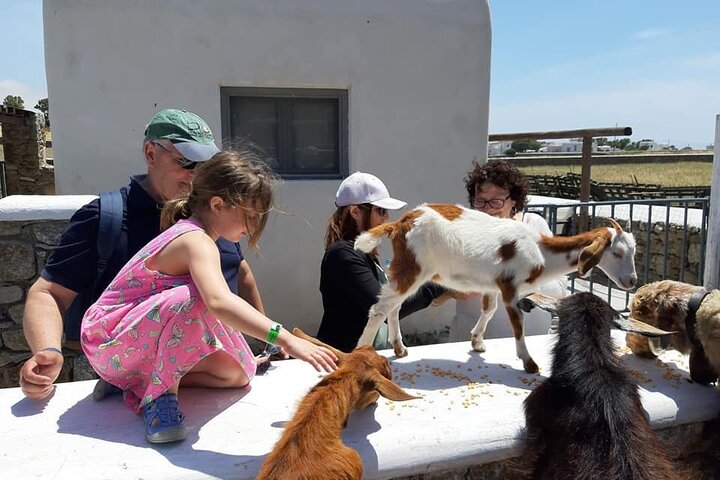 Mykonian Farm Experience - Image 2