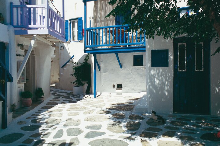 Mykonos Private Island Tour - Image 3