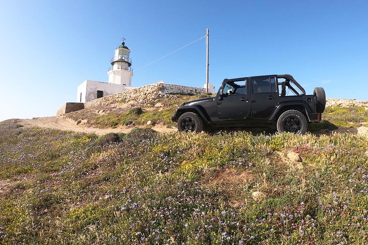 Mykonos Wild Experience Tour - Image 1