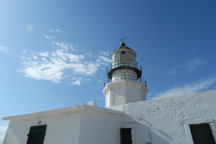 Mykonos Wild Experience Tour - Image 4