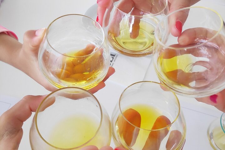 Olive Oil Tasting at the Mykonian Farm - Image 5
