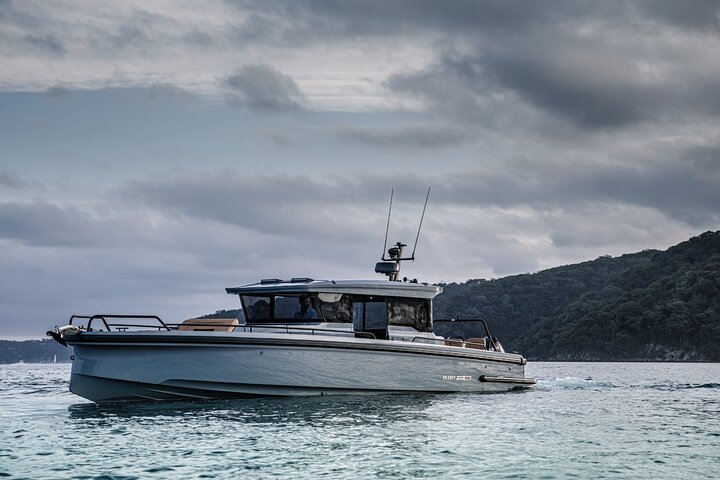Private 5-Hour Cruise on Brand-New 2023 Motor Yacht in Mykonos (Voreus) - Image 5