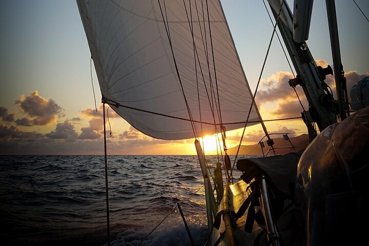 Private Full Day Catamaran Cruise from Paros with Lunch - Image 5