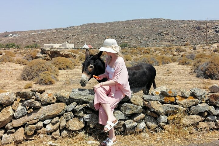 Private Half-Day Mykonos Insider Tour with Pick Up - Image 5