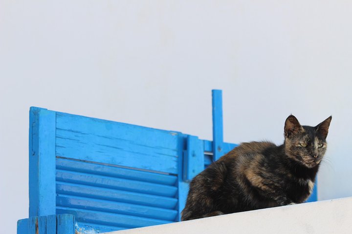 Private Tour: Mykonos Island in Half a Day - Image 5