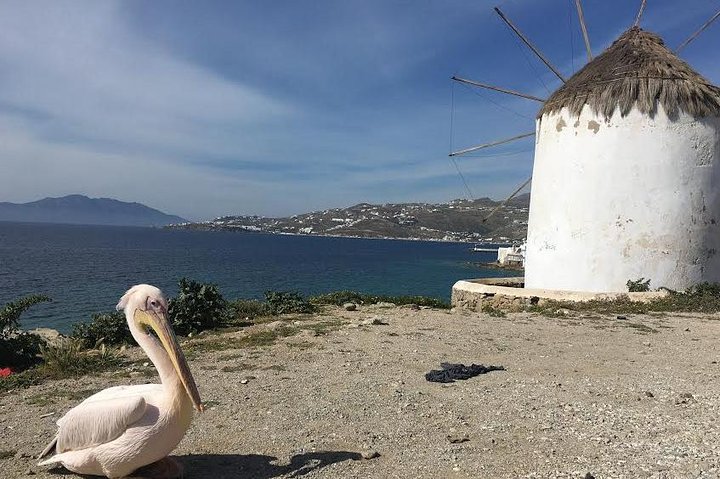 Private Tour: Mykonos Island in Half a Day - Image 1
