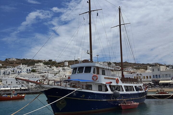 Shared Cruise from Mykonos to Ancient Delos & Rhenia island  - Image 5
