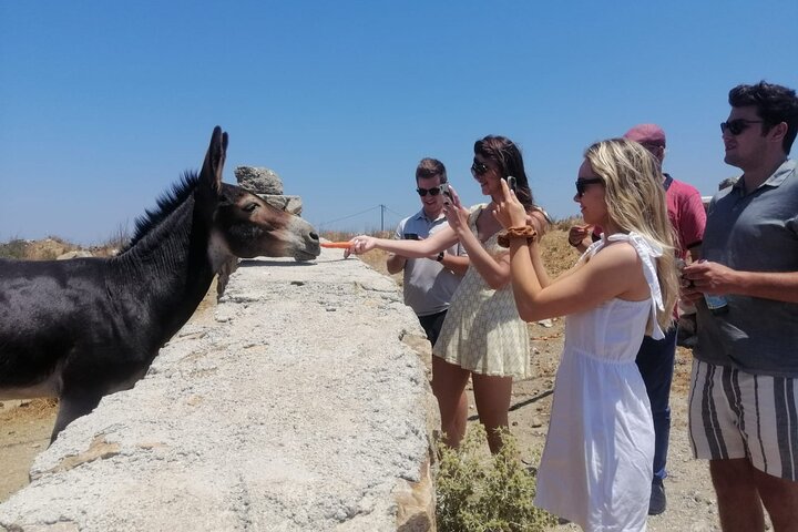 Small-Group Half-Day Tour in Mykonos - Image 4
